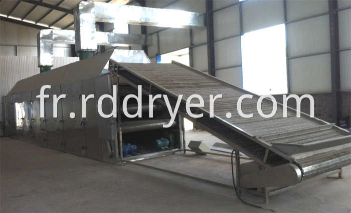 Conveyor Mesh Belt Dryer